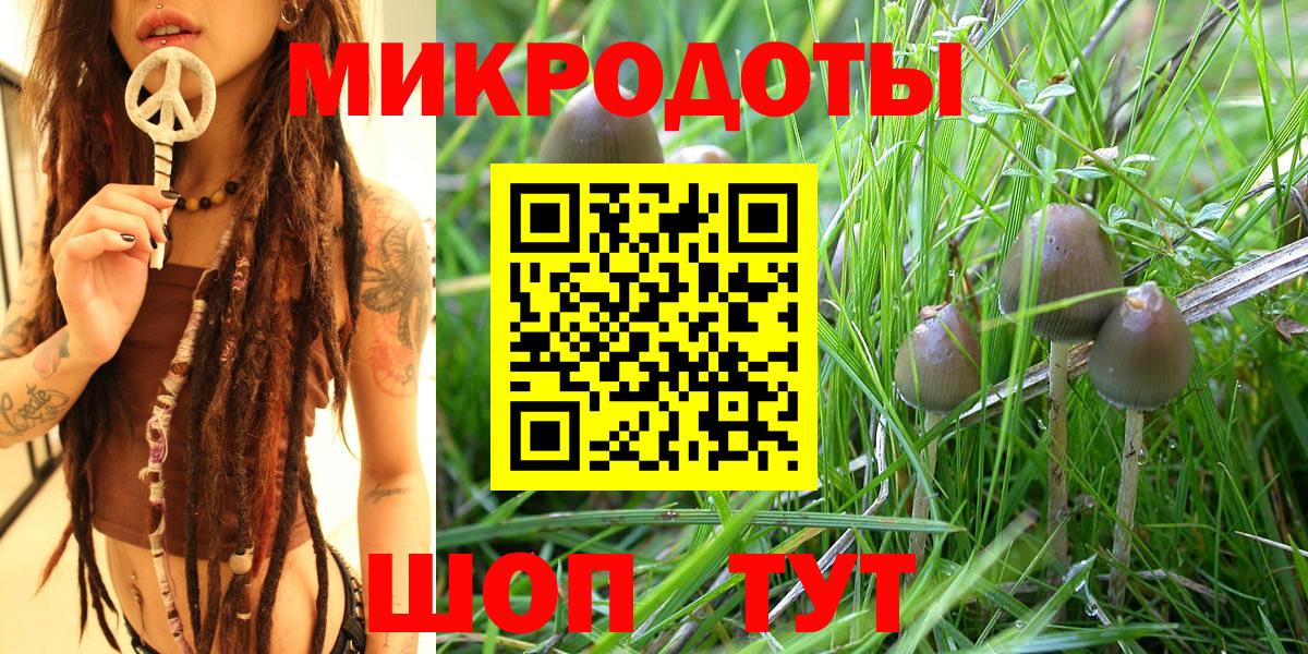 Псилоцибиновые грибы мицелий  Вход с VPN  где можно купить наркотик  Находка 